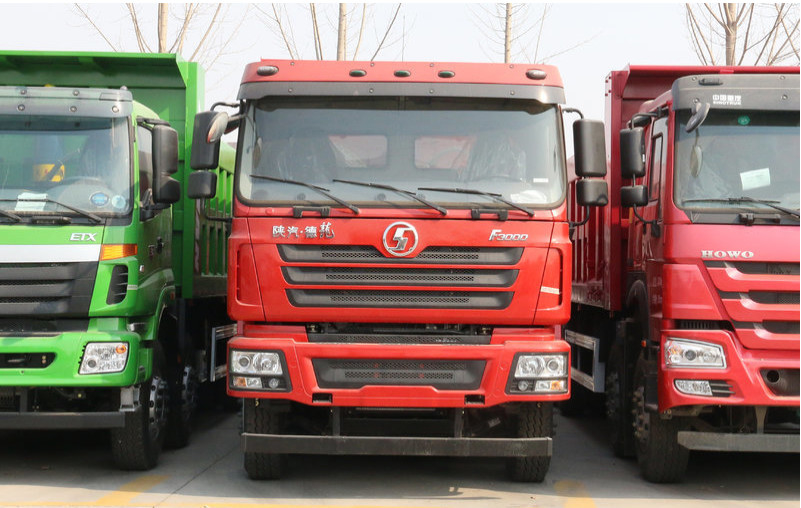 Le camion à benne basculante diesel de seau de 25 mètres cubes 15 tonnes chargent le verseur 430hp de Rhd de la conduite à droite 8x4 de l'euro II