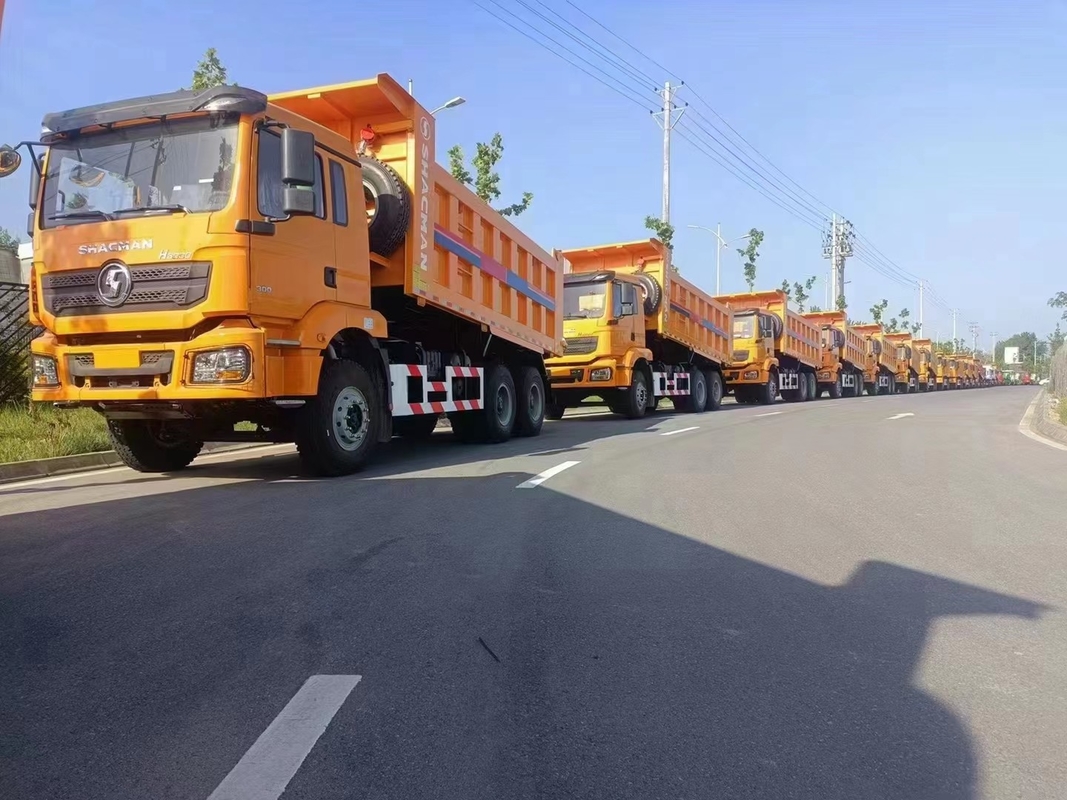 Nouveau camion à benne basculante F3000 6*4 WP10. La conduite à droite de réservoir de stockage de pétrole de Tipper Truck 400L de moteur
