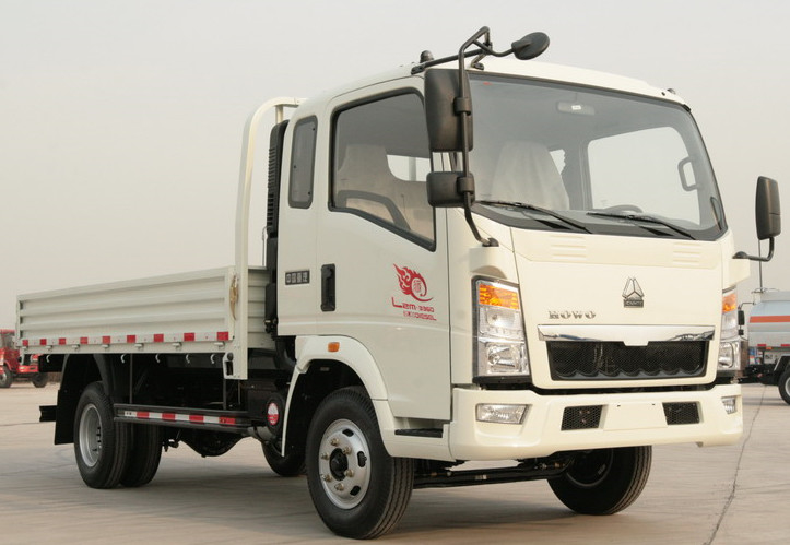 Petit mode utilisé d'entraînement des camions 4×2 chargeant 4-6 tonnes de conduite à droite Sinotruck Howo Lorry Truck