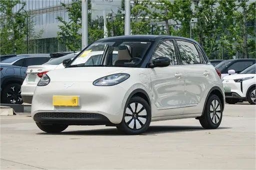 Véhicules à énergie nouvelle d'occasion Wuling Bingo Couleur de café léger 333KM Modèle