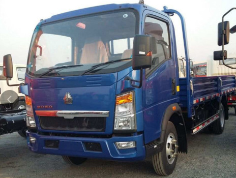3 tonnes Longueur du camion Chargement du réservoir Howo 4*2 Boîte plate Camion de camions Single cabine RHD Euro 2