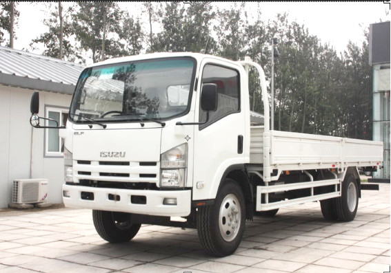 Camion de marchandises en rangée unique Isuzu 10 tonnes 4×2 Camion de camions 5,5 mètres de long Box Euro 4 Cabine plate