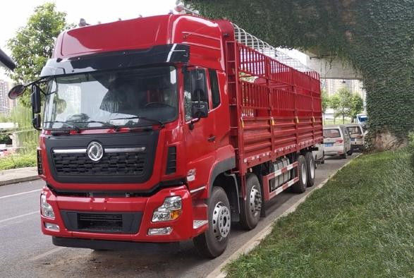 Dong-Feng 8x4 420hp Chine a utilisé le Trcuk de cargaison de camion tout neuf LHD/RHD